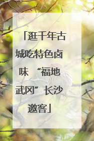 逛千年古城吃特色卤味 “福地武冈”长沙邀客