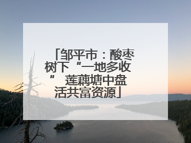 邹平市：酸枣树下“一地多收” 莲藕塘中盘活共富资源