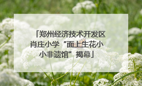 郑州经济技术开发区肖庄小学“面上生花小小非遗馆”揭幕