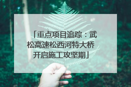重点项目追踪：武松高速松西河特大桥开启施工攻坚期