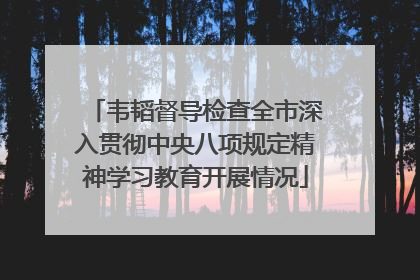 韦韬督导检查全市深入贯彻中央八项规定精神学习教育开展情况