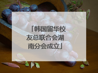 韩国留华校友总联合会湖南分会成立