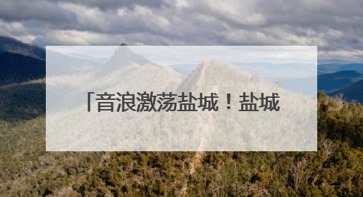 音浪激荡盐城！盐城大洋湾音乐节吸引5.4万乐迷共赴狂欢