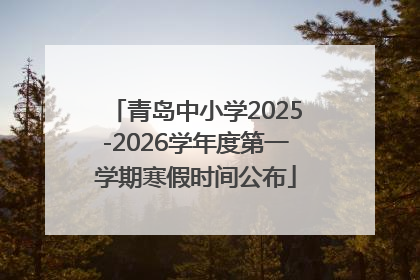 青岛中小学2025-2026学年度第一学期寒假时间公布