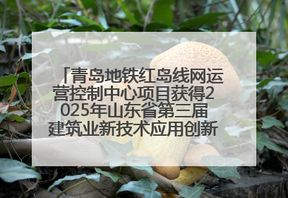 青岛地铁红岛线网运营控制中心项目获得2025年山东省第三届建筑业新技术应用创新竞赛一等奖