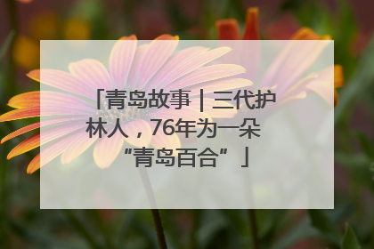 青岛故事｜三代护林人，76年为一朵“青岛百合”