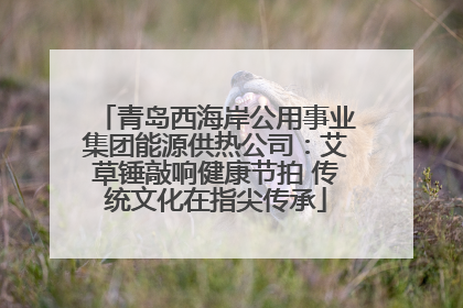 青岛西海岸公用事业集团能源供热公司：艾草锤敲响健康节拍 传统文化在指尖传承