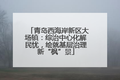 青岛西海岸新区大场镇：综治中心化解民忧，绘就基层治理新“枫”景