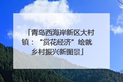 青岛西海岸新区大村镇：“赏花经济”绘就乡村振兴新图景