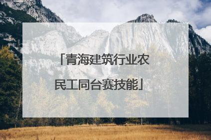 青海建筑行业农民工同台赛技能