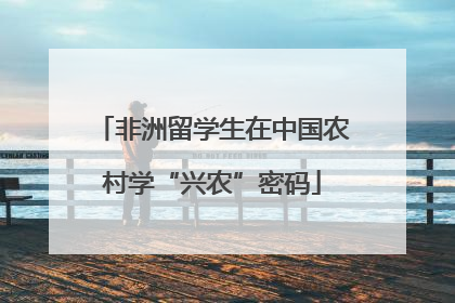 非洲留学生在中国农村学“兴农”密码