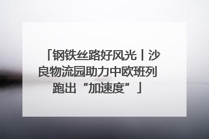 钢铁丝路好风光丨沙良物流园助力中欧班列跑出“加速度”