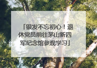 银发不忘初心！退休党员前往茅山新四军纪念馆参观学习
