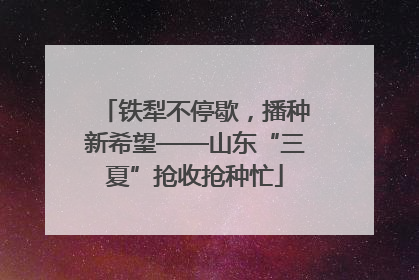 铁犁不停歇，播种新希望——山东“三夏”抢收抢种忙