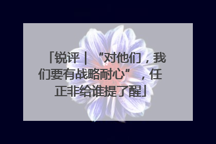 锐评｜“对他们，我们要有战略耐心”，任正非给谁提了醒