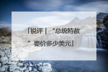 锐评｜“总统特赦”要价多少美元