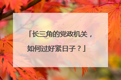 长三角的党政机关，如何过好紧日子？