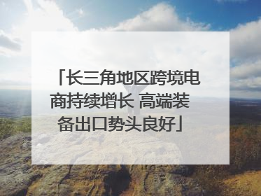 长三角地区跨境电商持续增长 高端装备出口势头良好