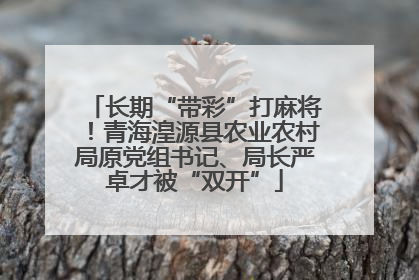 长期“带彩”打麻将！青海湟源县农业农村局原党组书记、局长严卓才被“双开”