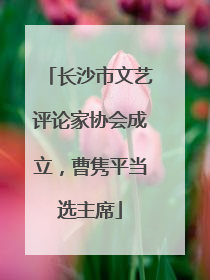 长沙市文艺评论家协会成立，曹隽平当选主席