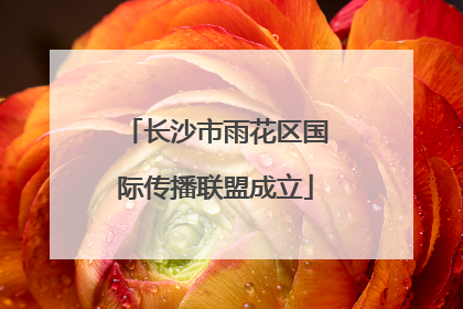 长沙市雨花区国际传播联盟成立