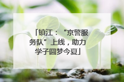 镇江：“京警服务队”上线，助力学子圆梦今夏