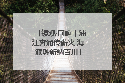 镜观·回响｜浦江奔涌传薪火 海派融新纳百川