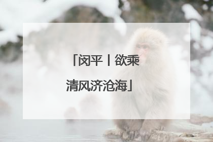 闵平丨欲乘清风济沧海
