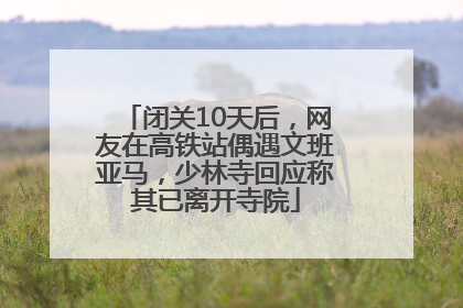 闭关10天后，网友在高铁站偶遇文班亚马，少林寺回应称其已离开寺院
