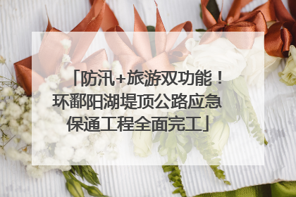 防汛+旅游双功能！环鄱阳湖堤顶公路应急保通工程全面完工