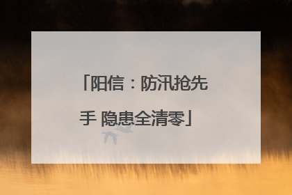 阳信：防汛抢先手 隐患全清零
