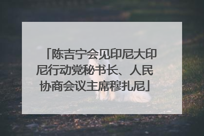 陈吉宁会见印尼大印尼行动党秘书长、人民协商会议主席穆扎尼