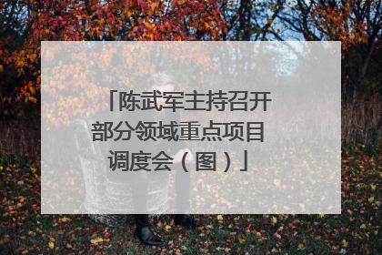 陈武军主持召开部分领域重点项目调度会（图）