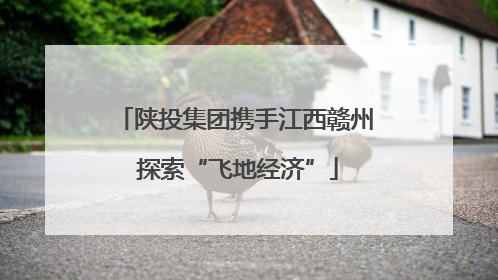陕投集团携手江西赣州 探索“飞地经济”