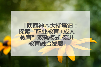 陕西神木大柳塔镇：探索“职业教育+成人教育”双轨模式 促进教育融合发展