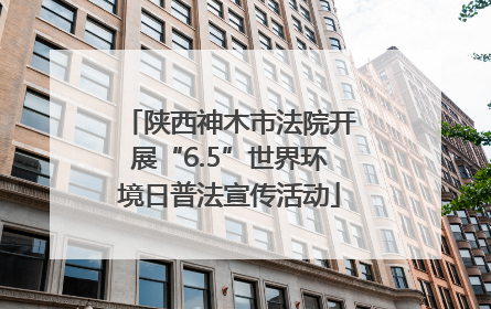 陕西神木市法院开展“6.5”世界环境日普法宣传活动
