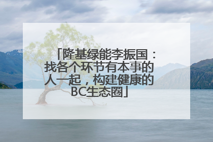 隆基绿能李振国：找各个环节有本事的人一起，构建健康的BC生态圈
