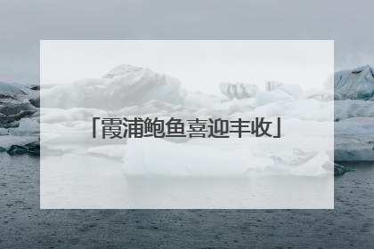 霞浦鲍鱼喜迎丰收