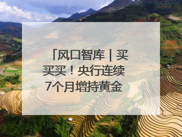 风口智库｜买买买！央行连续7个月增持黄金，专家：金价或仍易涨难跌