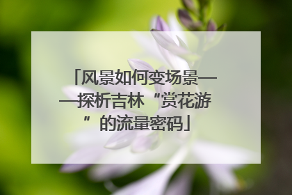 风景如何变场景——探析吉林“赏花游”的流量密码