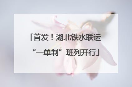 首发！湖北铁水联运“一单制”班列开行