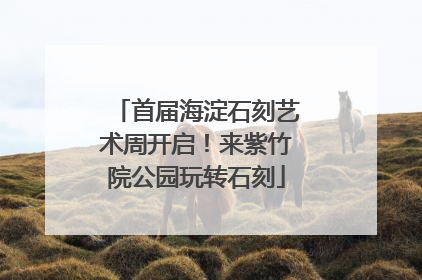 首届海淀石刻艺术周开启！来紫竹院公园玩转石刻