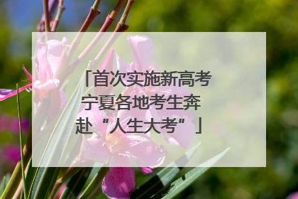 首次实施新高考 宁夏各地考生奔赴“人生大考”