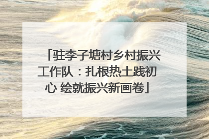 驻李子塘村乡村振兴工作队：扎根热土践初心 绘就振兴新画卷