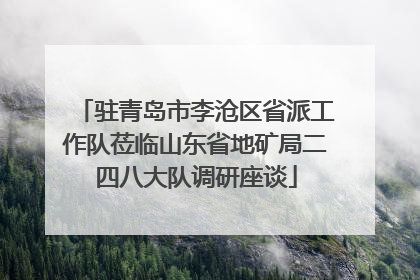 驻青岛市李沧区省派工作队莅临山东省地矿局二四八大队调研座谈