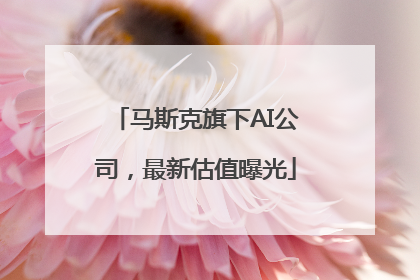 马斯克旗下AI公司，最新估值曝光
