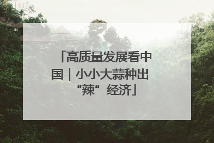 高质量发展看中国｜小小大蒜种出“辣”经济