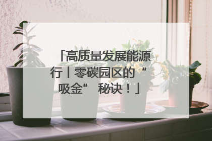 高质量发展能源行丨零碳园区的“吸金” 秘诀！
