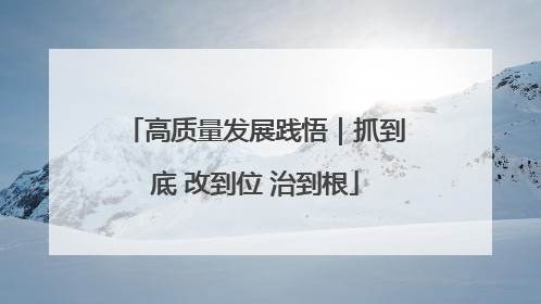 高质量发展践悟｜抓到底 改到位 治到根