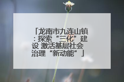 龙南市九连山镇：探索“三化”建设 激活基层社会治理“新动能”